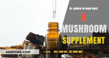 Jarrow vs. MRM: Which Brand Offers the Best Mushroom Supplement?