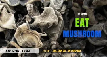 Do Jews Eat Mushrooms? Exploring Kashrut and Fungal Foods