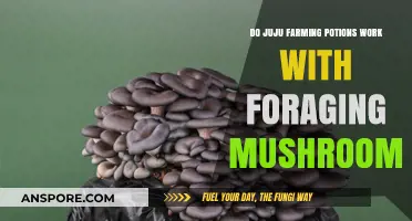 Juju Farming Potions and Mushroom Foraging: Do They Work Together?