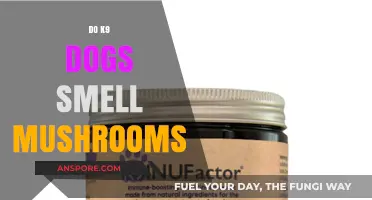 Sniffing Out Shrooms: K9 Dogs and Mushroom Scents