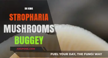 King Stropharia Mushrooms: Buggy or Beneficial?