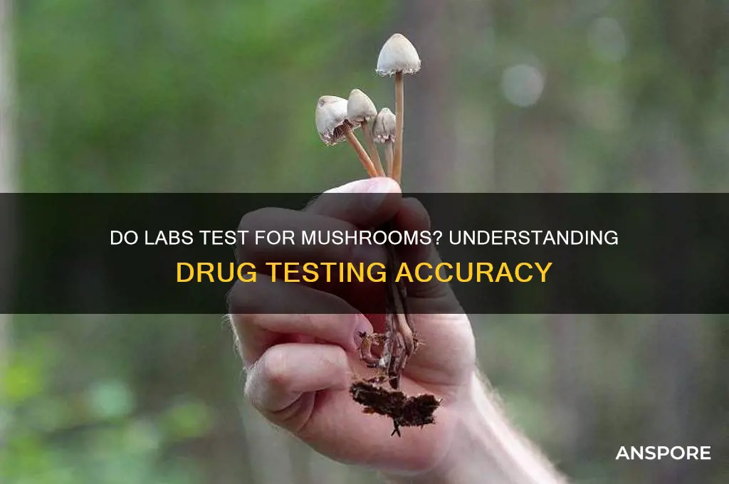 do labs test test for mushrooms