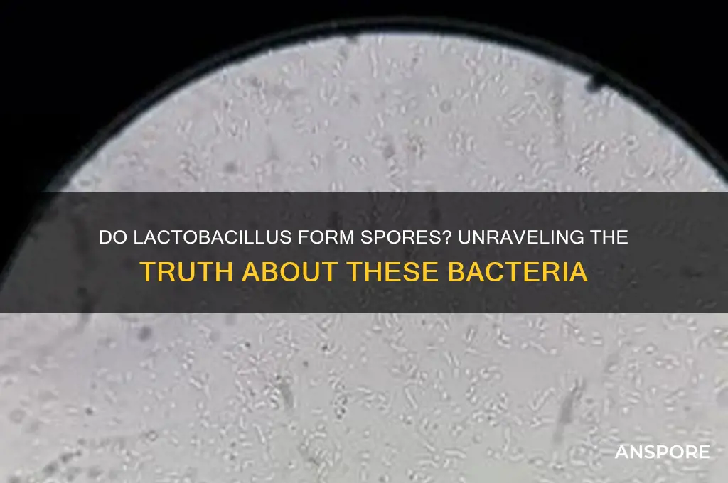 do lactobacillus form spores