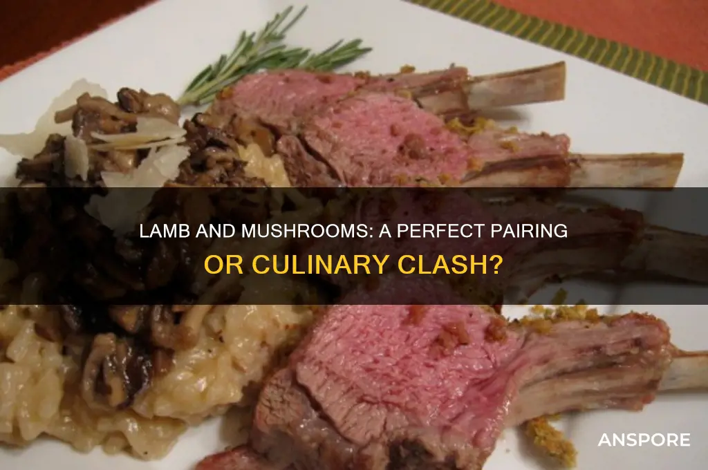 do lamb and mushrooms go together