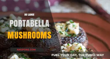 Portabella Mushrooms: The Giant, Meaty Delicacy