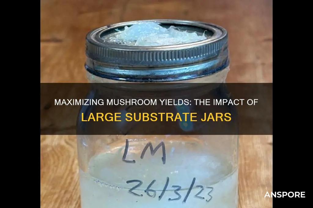 do large substrate jars grow more mushrooms