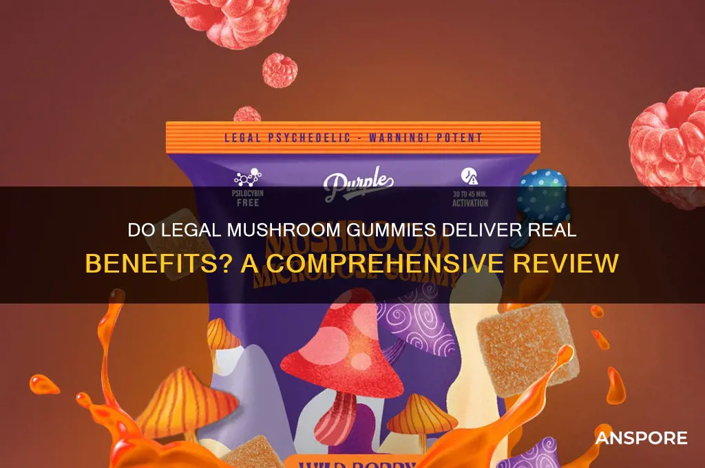 do legal mushroom gummies work