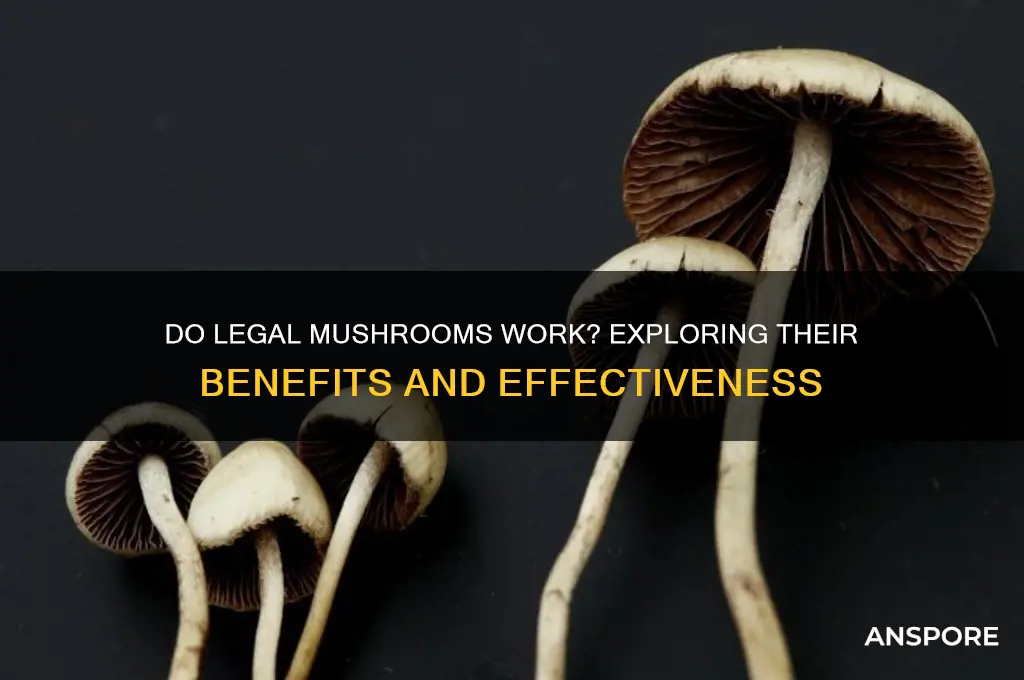 do legal mushrooms work