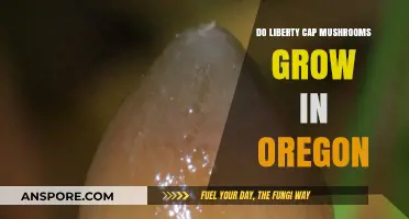 Do Liberty Cap Mushrooms Thrive in Oregon's Climate and Forests?