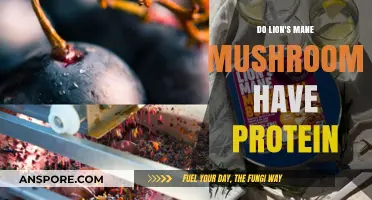 Lion's Mane Mushrooms: Unveiling Their Protein Content and Nutritional Value