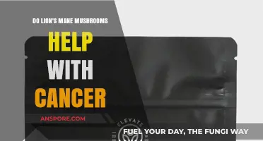 Lion's Mane Mushrooms and Cancer: Exploring Potential Benefits and Research