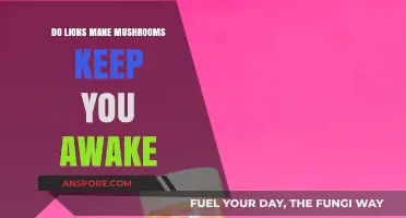 Lion's Mane Mushroom: Does It Boost Energy or Keep You Awake?