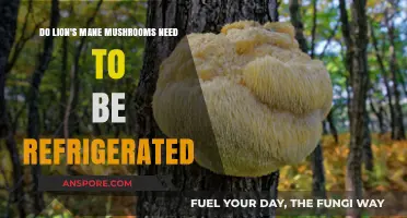 Lion's Mane Mushrooms: Refrigeration Tips for Freshness and Longevity