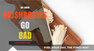 Do Liquid Mushrooms Expire? Shelf Life and Storage Tips