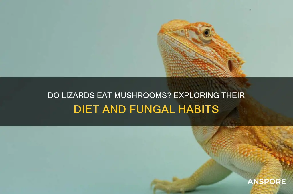 do lizards eat mushrooms