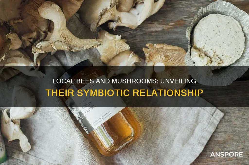 do local bees need local mushrooms