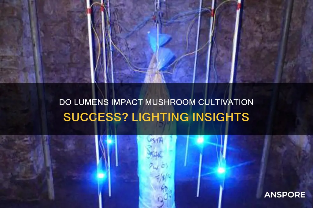 do lumens matter in mushroom cultivstion