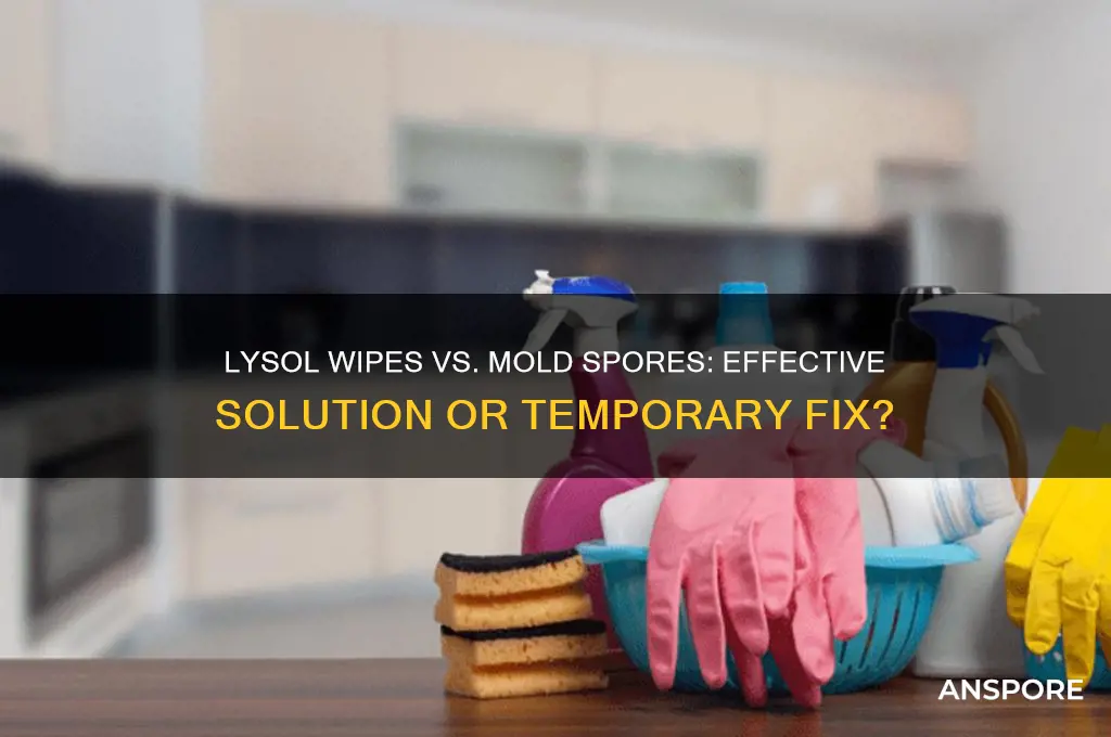 do lysol wipes kill mold spores