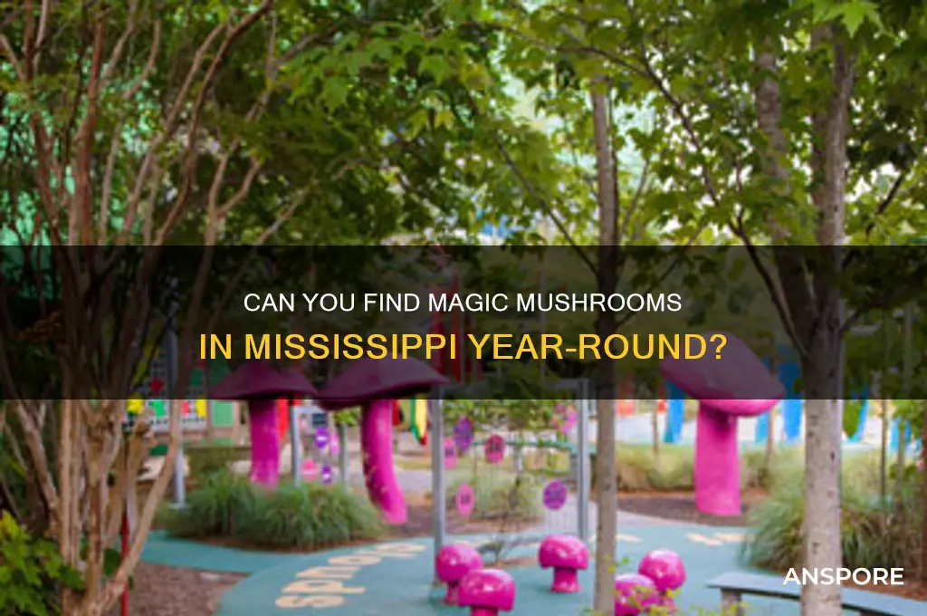 do magic mushrooms grow all year in mississippi