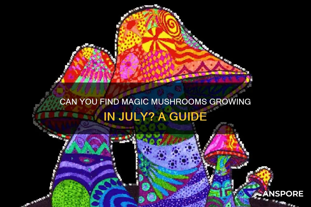 do magic mushrooms grow in july