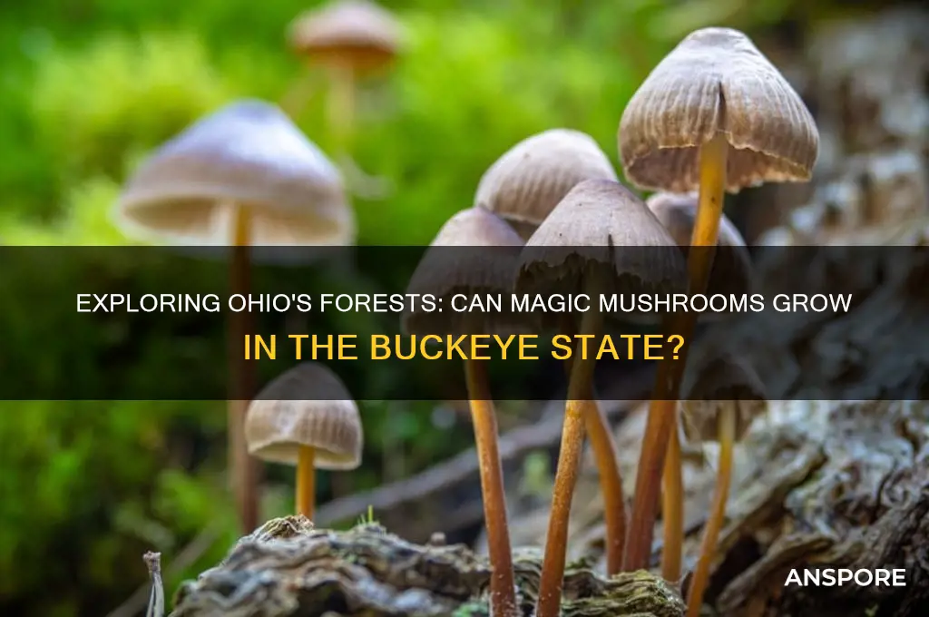 do magic mushrooms grow in ohio