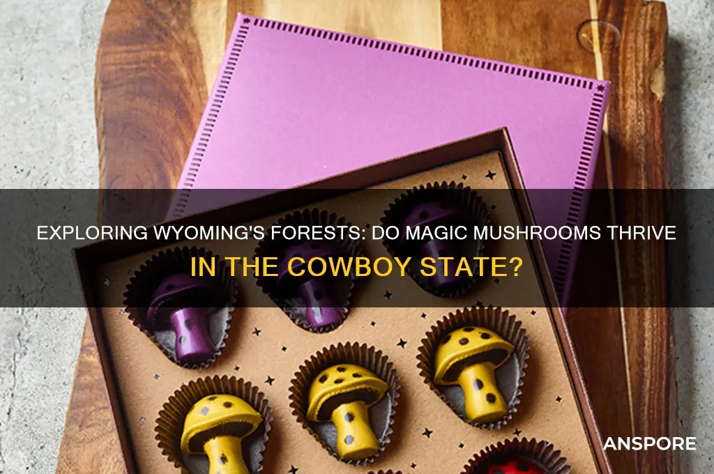 do magic mushrooms grow in wyoming