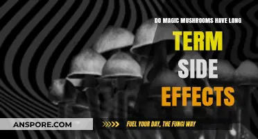 Long-Term Effects of Magic Mushrooms: Risks, Research, and Reality