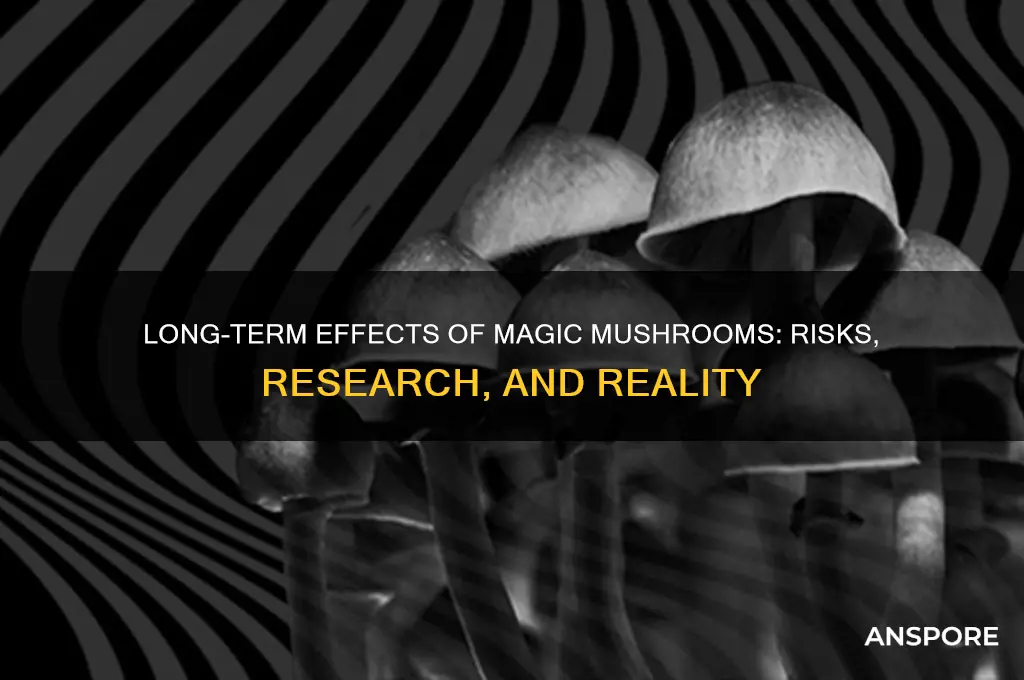 do magic mushrooms have long term side effects