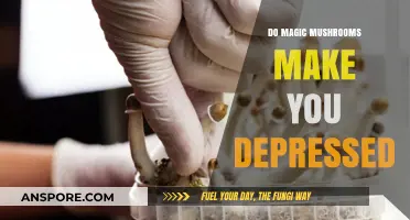 Do Magic Mushrooms Cause Depression? Exploring the Psychological Impact