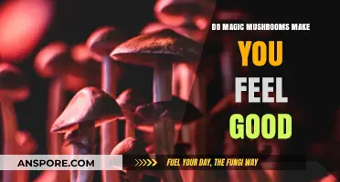 Do Magic Mushrooms Make You Feel Good? Exploring the Effects