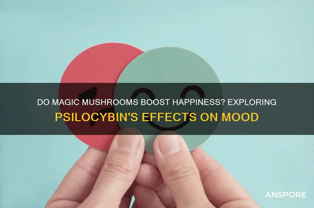 do magic mushrooms make you happy