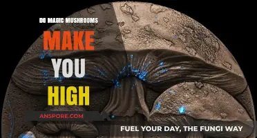 Do Magic Mushrooms Make You High? Exploring Psilocybin's Effects