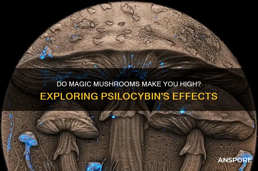 do magic mushrooms make you high