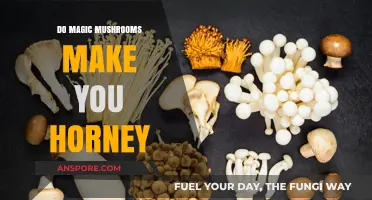 Magic Mushrooms and Libido: Exploring the Link to Sexual Arousal