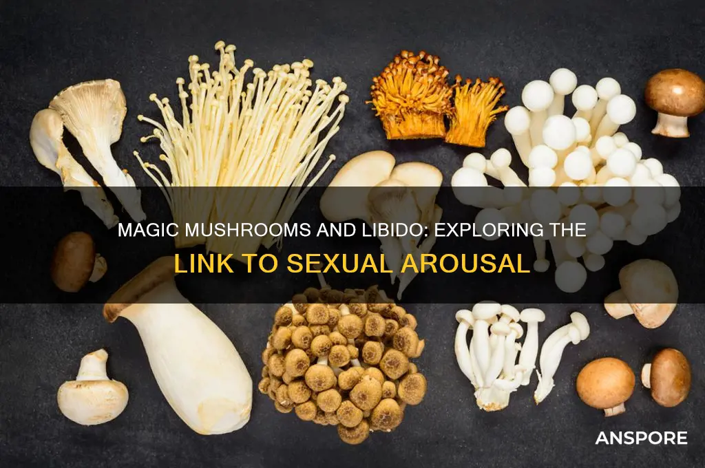 do magic mushrooms make you horney