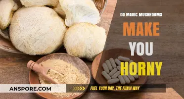 Magic Mushrooms and Libido: Exploring the Link to Sexual Arousal