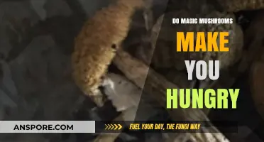 Do Magic Mushrooms Increase Appetite? Exploring Psilocybin's Effects on Hunger