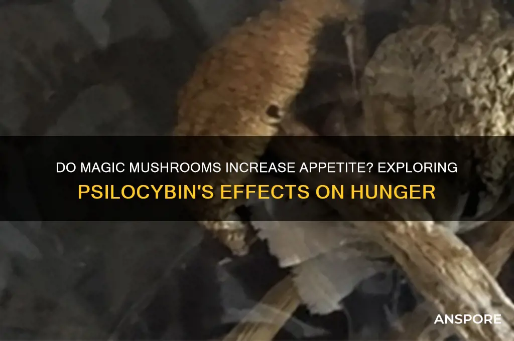 do magic mushrooms make you hungry
