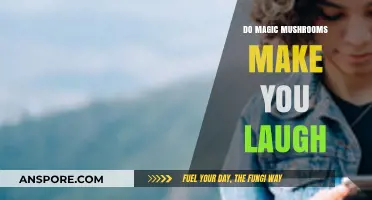 Magic Mushrooms and Laughter: Exploring the Psychedelic Giggle Effect