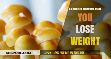 Can Magic Mushrooms Aid Weight Loss? Exploring the Psychedelic Connection