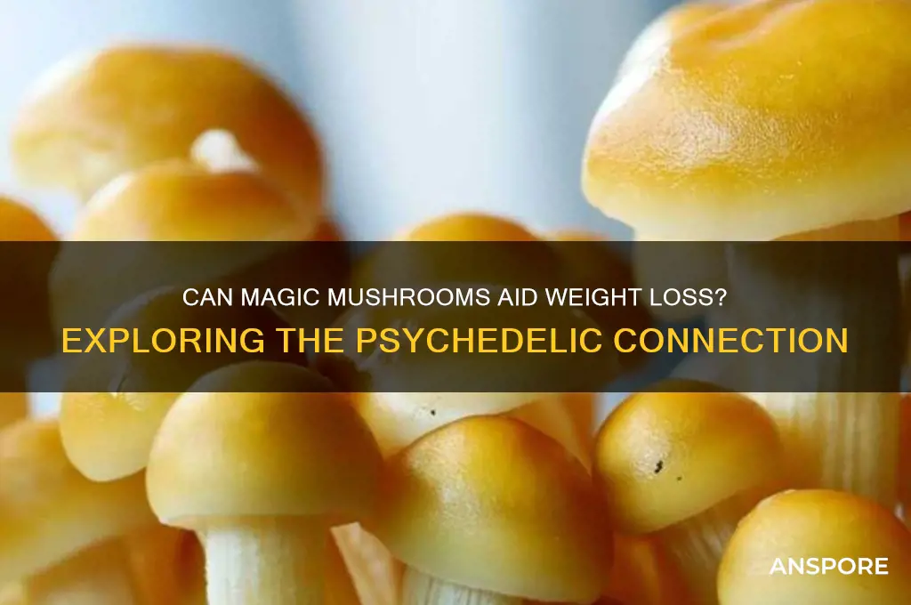 do magic mushrooms make you lose weight