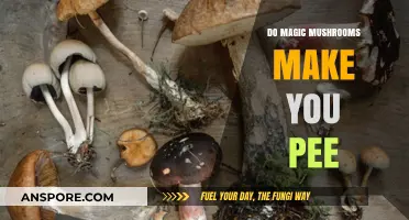 Magic Mushrooms and Urination: Debunking Myths About Psilocybin's Effects