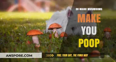 Magic Mushrooms and Digestion: Unraveling the Poop Connection