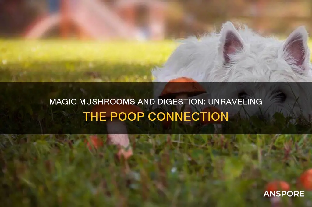 do magic mushrooms make you poop