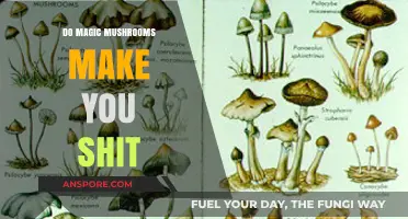 Magic Mushrooms and Digestion: Unraveling the Truth About Bathroom Trips