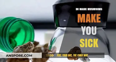 Can Magic Mushrooms Cause Illness? Exploring Psilocybin's Effects on Health