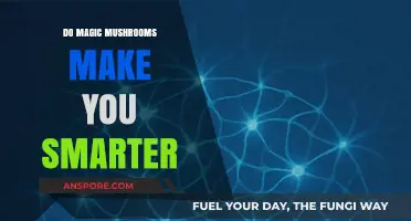 Can Magic Mushrooms Boost Intelligence? Exploring Psilocybin's Cognitive Effects