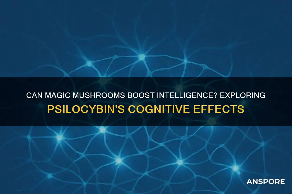 do magic mushrooms make you smarter