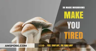 Do Magic Mushrooms Cause Fatigue? Exploring Psilocybin's Effects on Energy