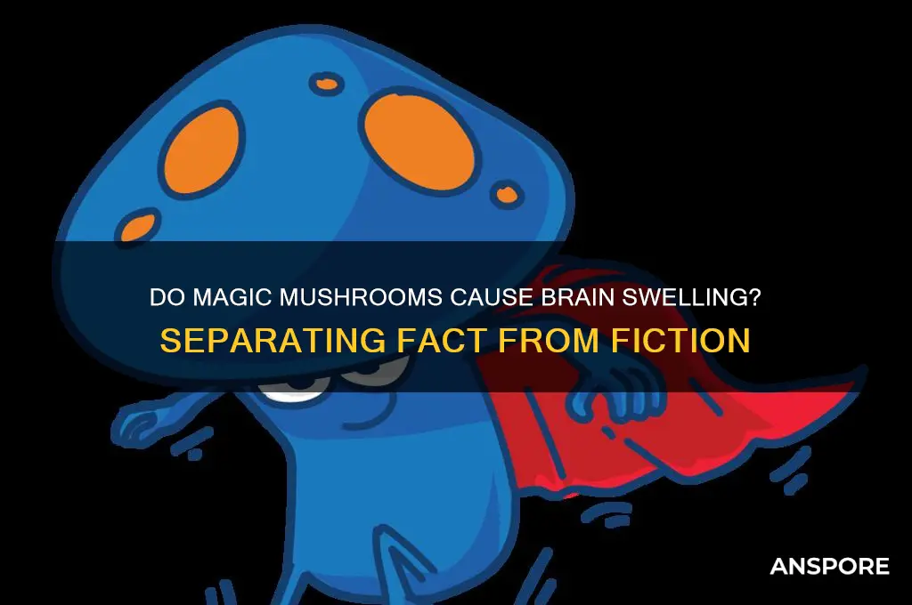 do magic mushrooms make your brain swell